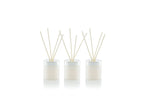 Grapefruit Mini Diffuser Gift Set